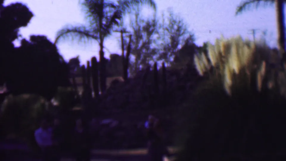 1961 San Diego home-movie frame showing a family group in a landscaped garden with palms, shrubs, ornamental grasses, and a bright sky.