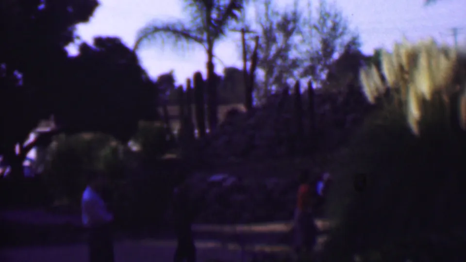 1961 San Diego home-movie frame with family figures near a path, backed by palms, shrubs, tall grasses, and sunlit landscaping.