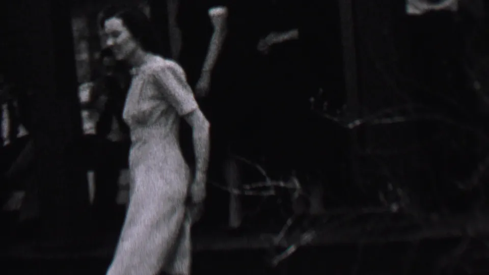 A woman in a light dress walks near a dark automobile in the Albany residential scene, with tree trunks and shadowed exterior surroundings behind her.