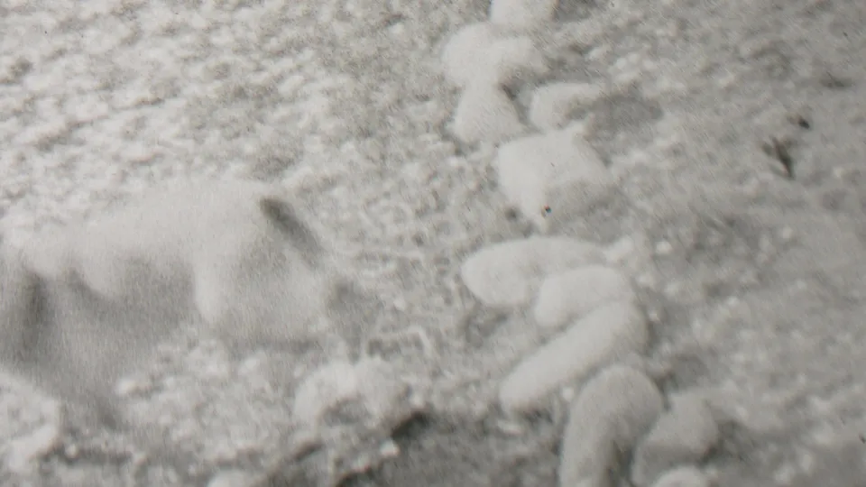 In the supplied 1937 Beachwood, New Jersey home-movie clip, a small puppy appears in snow beside a rough outdoor residential surface.
