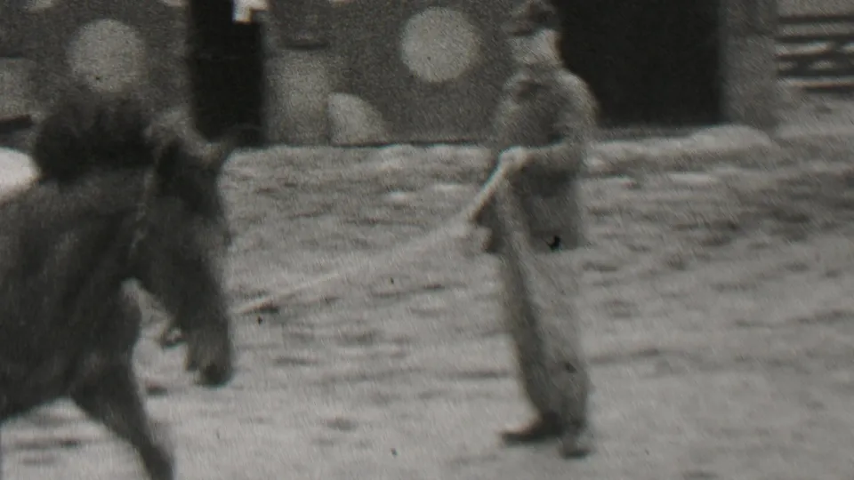 A horse moves at the edge of a snowy or muddy corral while an adult man in winter clothing stands nearby in 1937 Beachwood, New Jersey, according to supplied clip metadata.