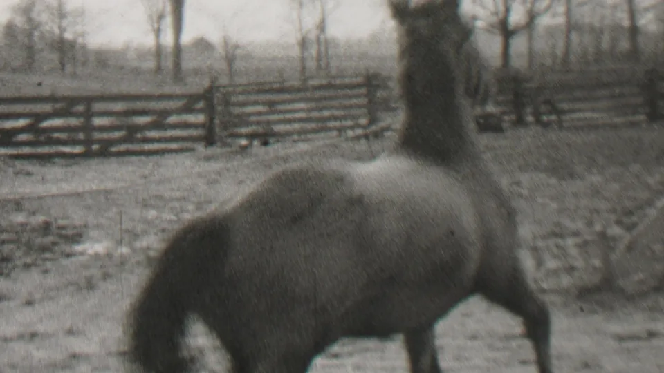 A horse moves across the wintry corral in a grainy 8mm frame, with split-rail fencing and leafless trees visible in the background.