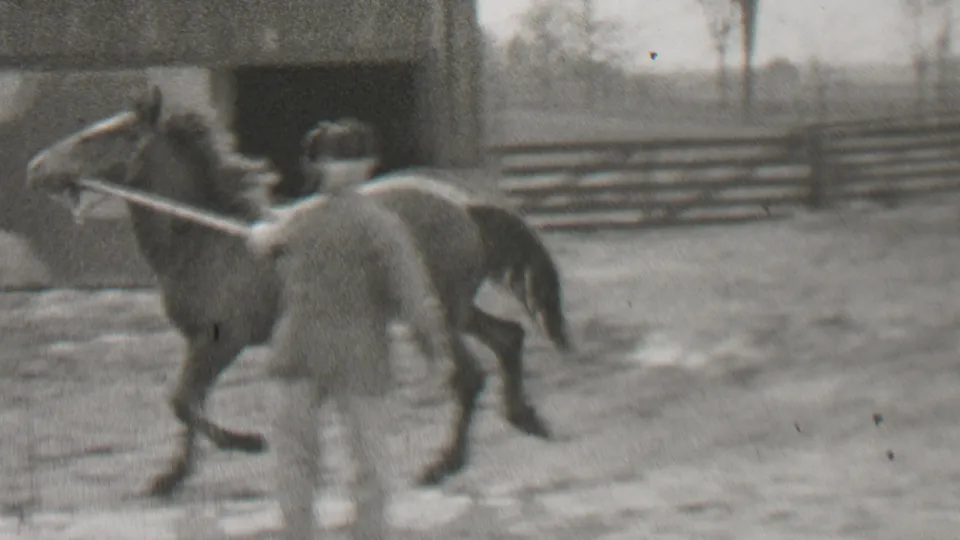 In 1937 Beachwood, New Jersey home-movie footage, an adult man appears to guide a horse by rope in a winter farmyard beside a barn-like structure.