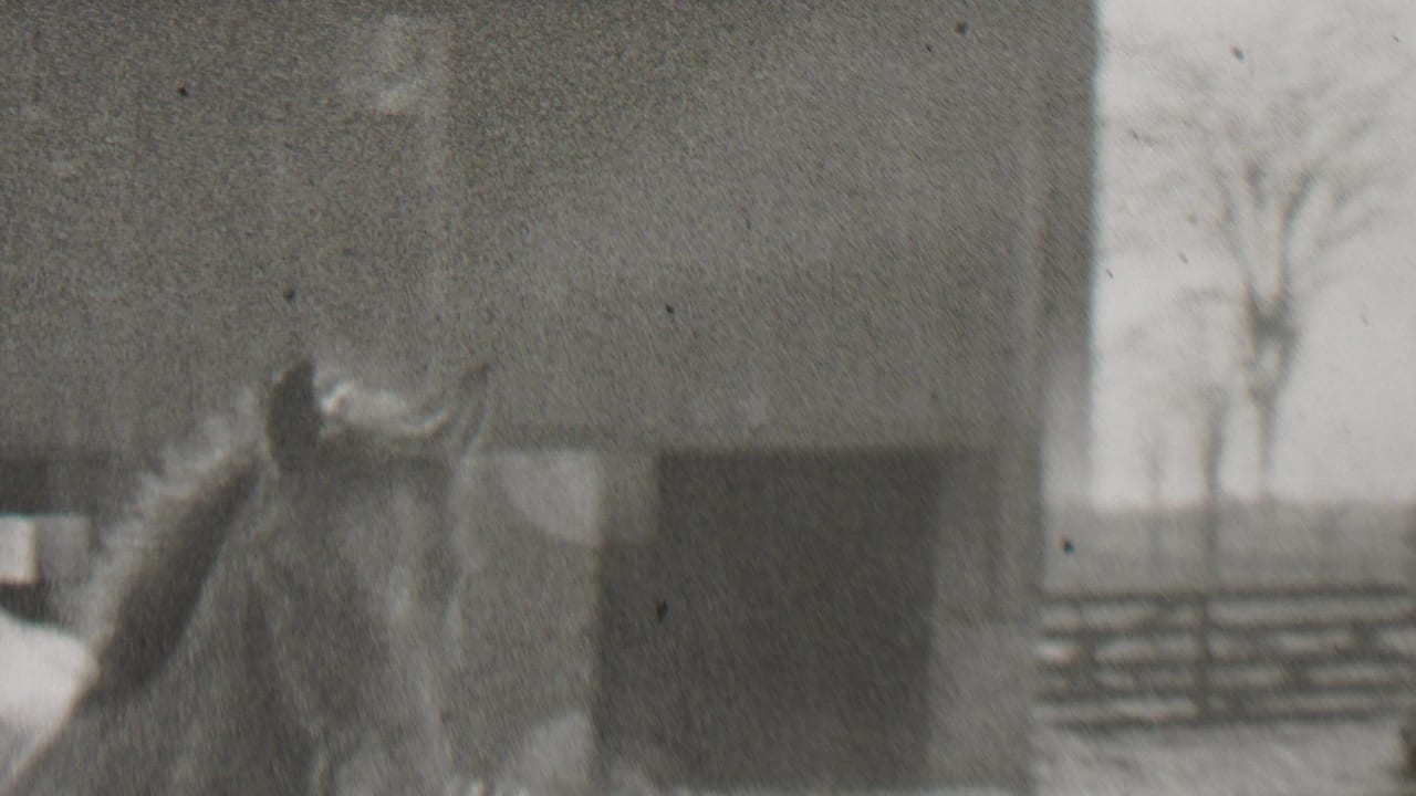 Horse stands close to a barn wall with its head and ears visible in soft focus.