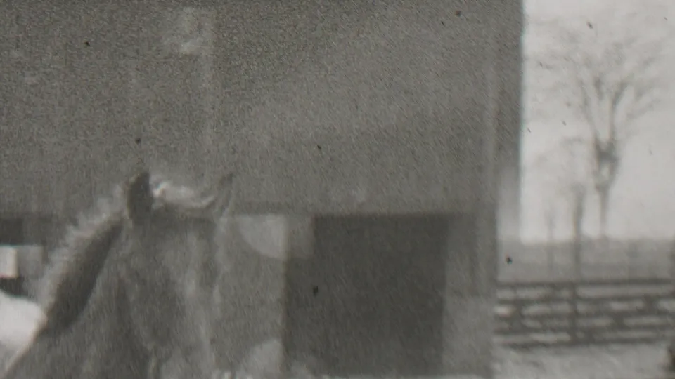 A horse is seen close to a barn-like wall in the snowy yard, with the surrounding 8mm frame soft and grainy.