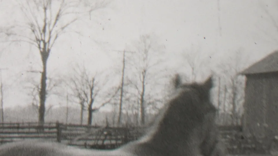 The horse appears from the rear in a winter farmyard in Beachwood, with split-rail fencing and bare trees visible beyond it.