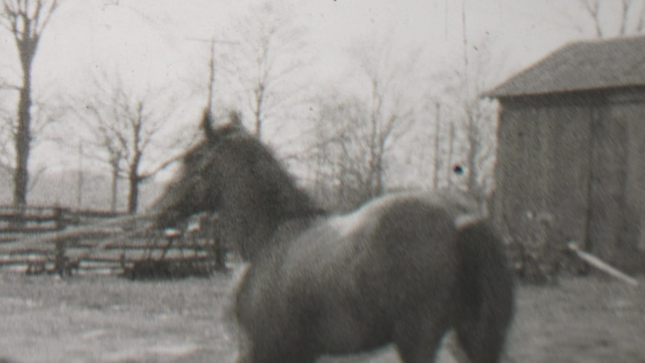 Black-and-white 1937 Beachwood, New Jersey home-movie frame showing a horse in a rural yard with fencing, outbuildings, and leafless trees behind it.