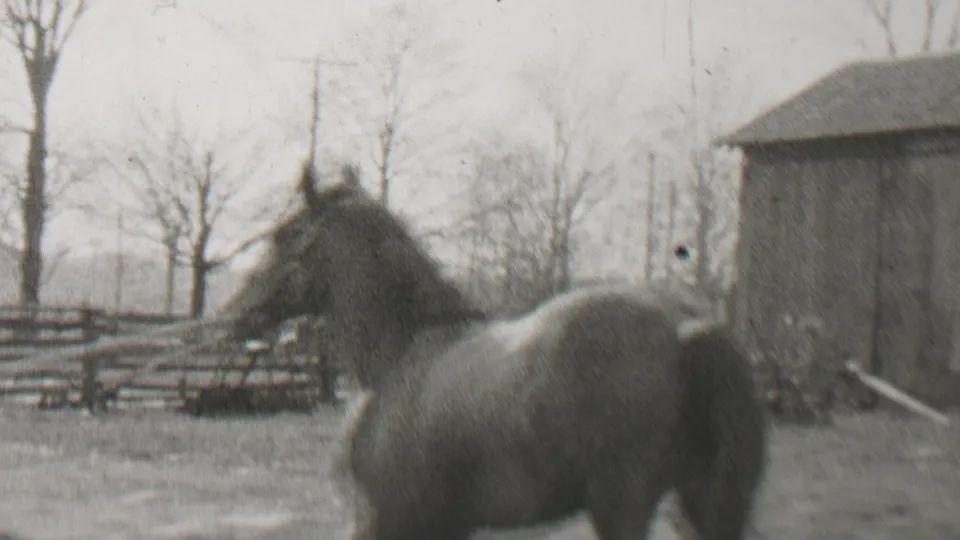 Black-and-white 1937 Beachwood, New Jersey home-movie frame showing a horse in a rural yard with fencing, outbuildings, and leafless trees behind it.