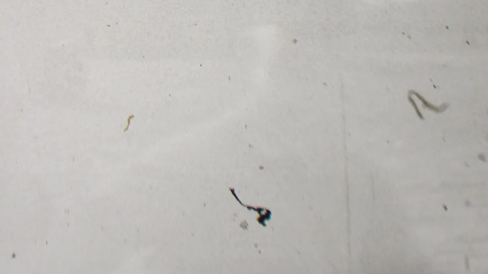 A mostly light, damaged 8mm frame from the Beachwood home movie with faint yard detail and prominent dust, scratches, and exposure variation.