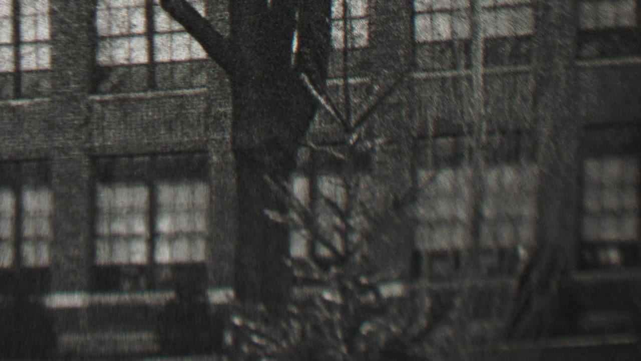 Rows of multi-pane windows on a masonry building behind bare tree branches.