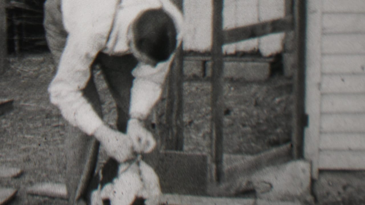 In 1937 Beachwood, New Jersey home-movie footage, an adult man in a light shirt bends toward a small dog on the ground near wooden posts and siding.