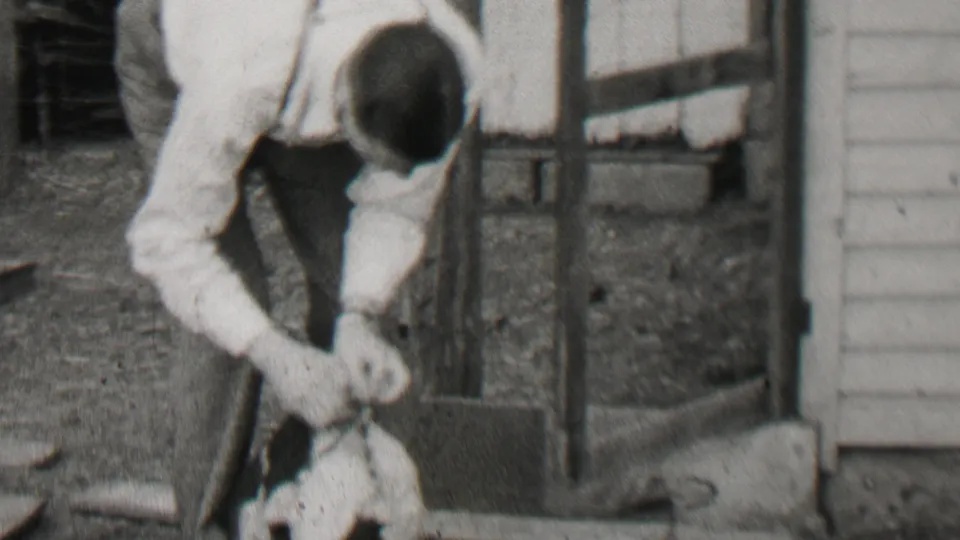 In 1937 Beachwood, New Jersey home-movie footage, an adult man in a light shirt bends toward a small dog on the ground near wooden posts and siding.