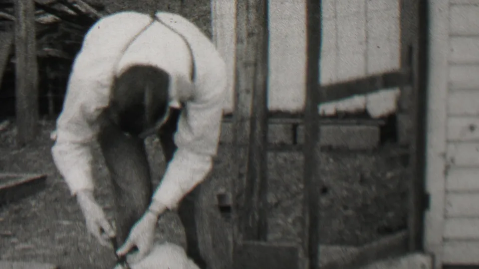 The man remains bent over the small light-colored dog, with his hands near the collar or chain beside a wooden-sided structure in Beachwood, New Jersey.