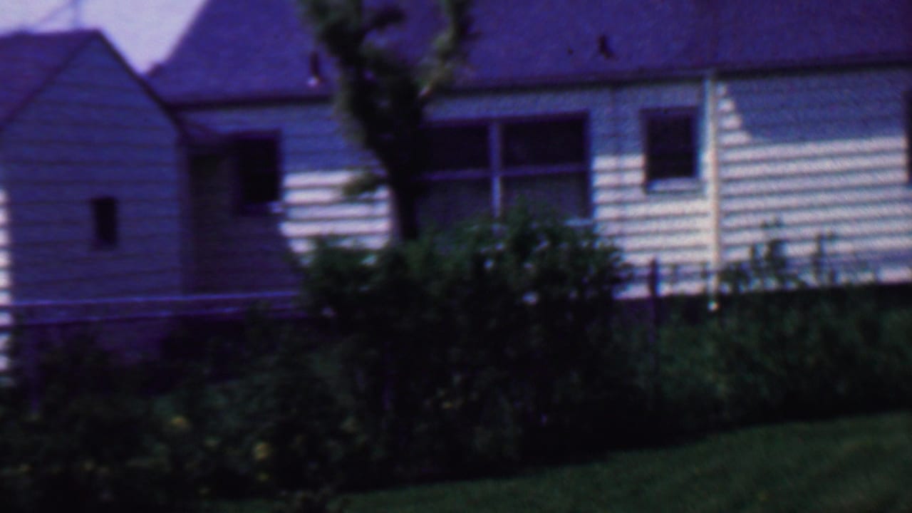 White house wall and attached shed-like section with windows and shrubs.