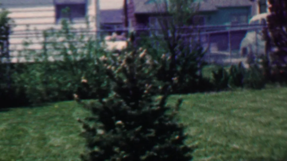 1958 Grand Rapids home-movie frame showing the front yard of a shingled house, with a small evergreen tree, grass, shrubs, and a chain-link fence in view.