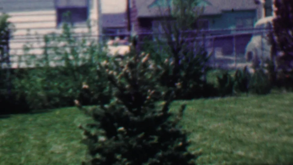 1958 Grand Rapids home-movie frame showing a small evergreen tree in a suburban backyard with lawn, shrubs, chain-link fencing, and neighboring house details.