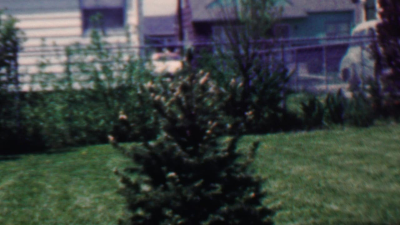 Soft 8mm frame from Grand Rapids, Michigan, showing an evergreen in a backyard lawn with shrubs, fence rails, house siding, and windows in the background.