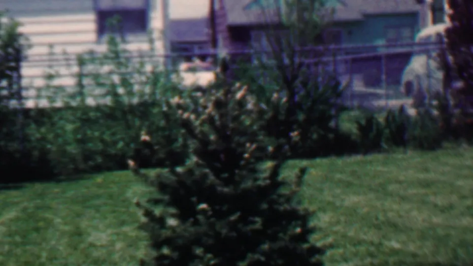 Soft 8mm frame from Grand Rapids, Michigan, showing an evergreen in a backyard lawn with shrubs, fence rails, house siding, and windows in the background.