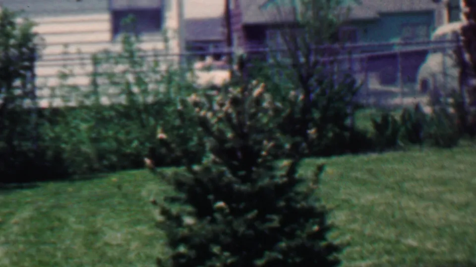 Final 8mm frame of a quiet 1958 Grand Rapids backyard, with an evergreen tree, green grass, shrubs, fencing, and house windows visible in soft focus.