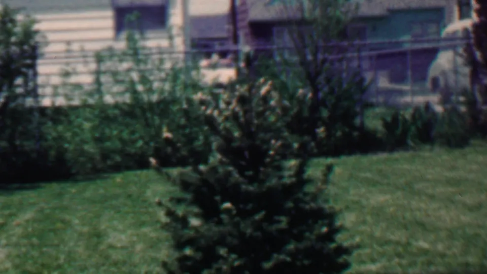 1958 Grand Rapids home-movie frame showing a sunny backyard with manicured grass, shrubs, a small conifer, dark house siding, and an older man partly visible in a hammock.