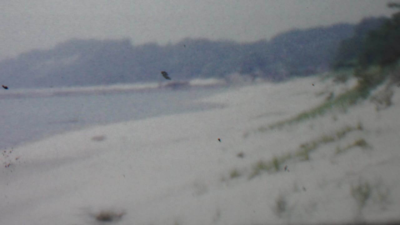 1959 8mm home-movie frame described as Louisiana, showing a pale winter beach with snow or frost, a calm shoreline, sparse dune grass, distant tree cover, and an overcast sky.