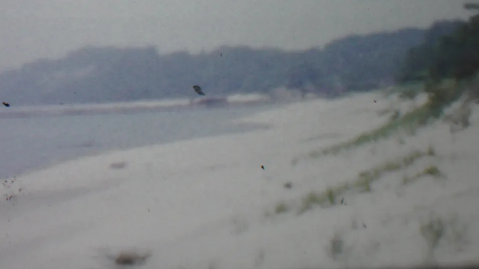 1959 8mm home-movie frame described as Louisiana, showing a pale winter beach with snow or frost, a calm shoreline, sparse dune grass, distant tree cover, and an overcast sky.
