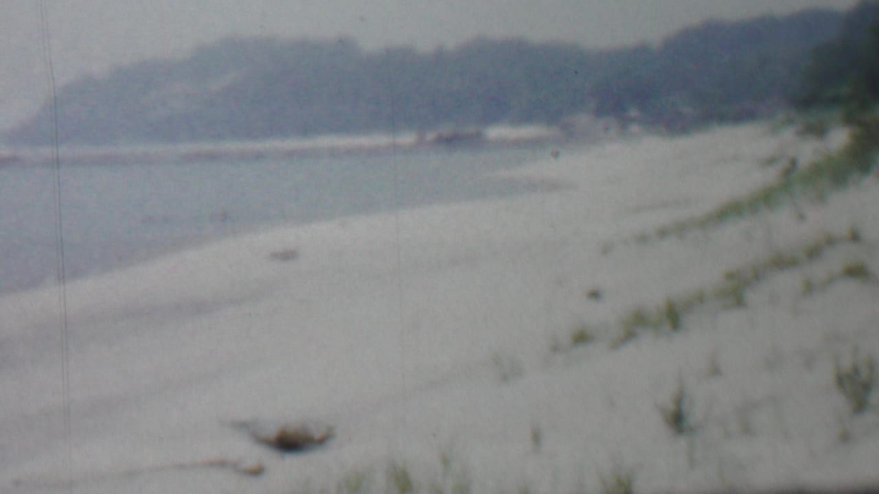 Soft 8mm frame from the Louisiana-labeled 1959 clip, showing a winter shoreline with pale snow or frost, low beach vegetation, calm water, and a distant wooded horizon.