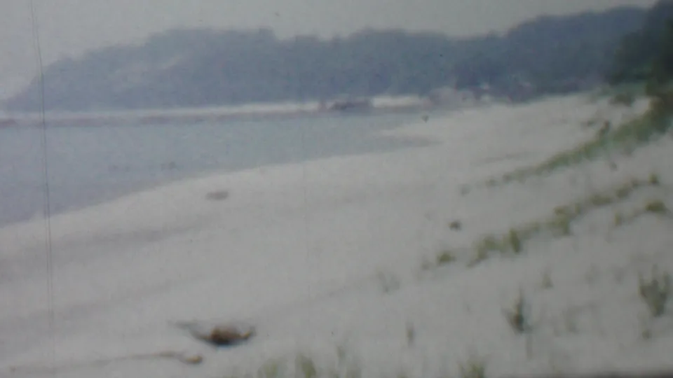 Soft 8mm frame from the Louisiana-labeled 1959 clip, showing a winter shoreline with pale snow or frost, low beach vegetation, calm water, and a distant wooded horizon.