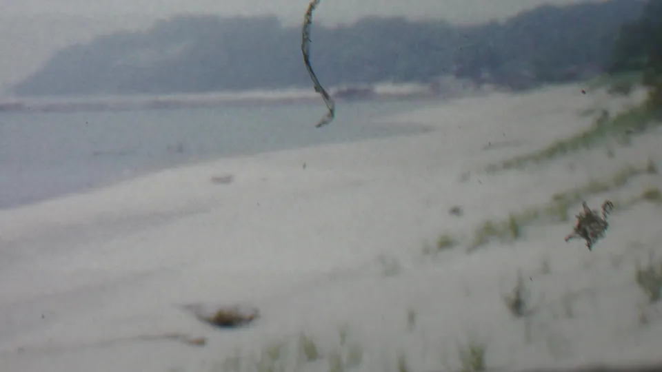 1959 8mm home-movie frame described as Louisiana, with a snowy or frosted beach, shoreline water, scattered grass, distant trees, and prominent film dust and scratch marks.