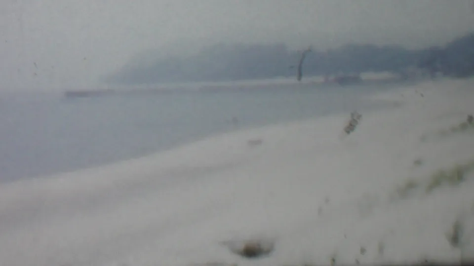 Final 8mm frame from the Louisiana-labeled 1959 winter beach clip, showing a calm pale shoreline, sparse vegetation, distant tree-covered land, and visible dust from the film source.