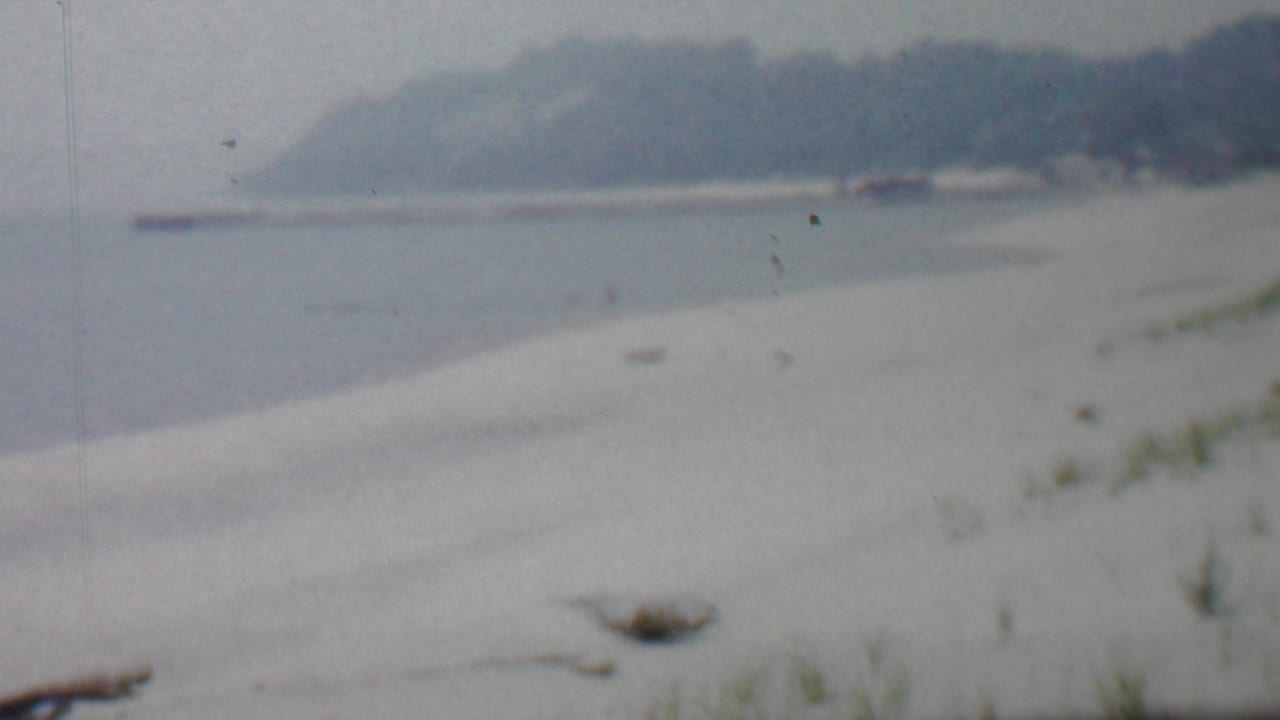 Calm shoreline with pale sand, distant wooded shore, and hazy water view.