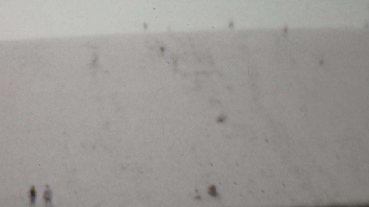 A faded 8mm frame from the supplied 1959 United States clip shows distant people dispersed across a soft, low-contrast hillside.