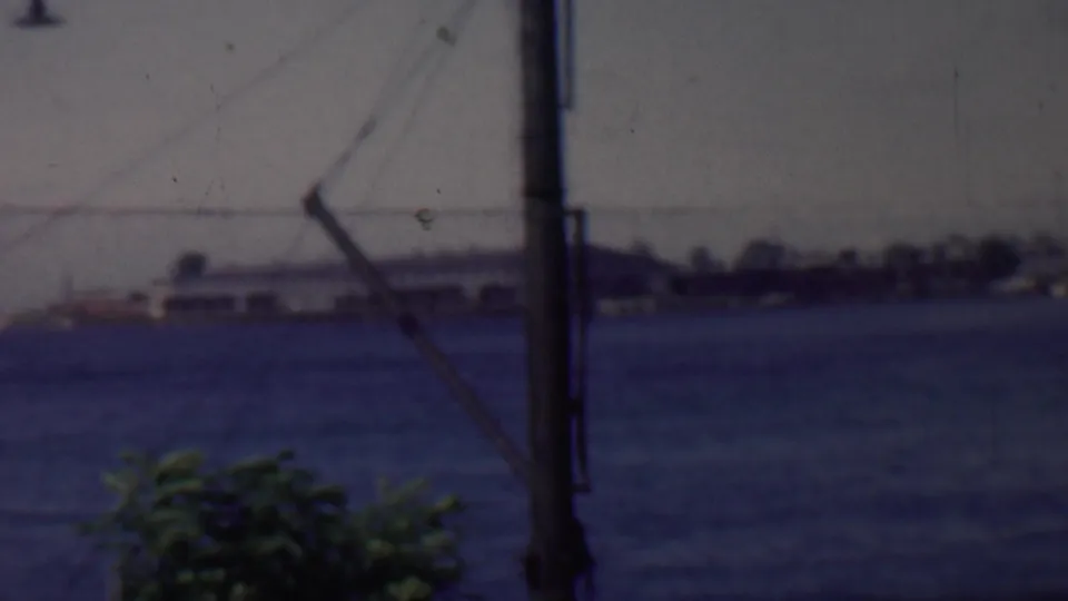 1959 Louisiana waterfront frame with distant boats and shoreline trees across the water, partially obscured by a vertical pole, diagonal cable, and foreground leaves.