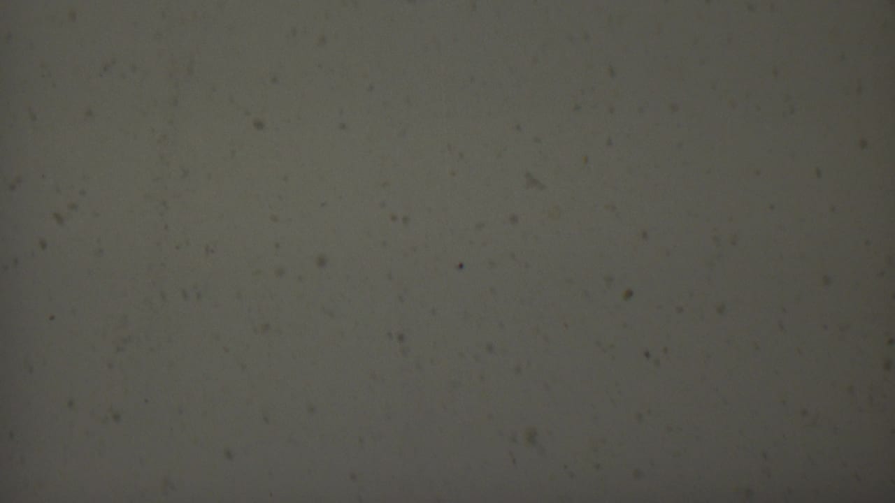 1959 8mm film texture from the United States showing a muted grey field with scattered dust, soft grain, and faint surface marks.