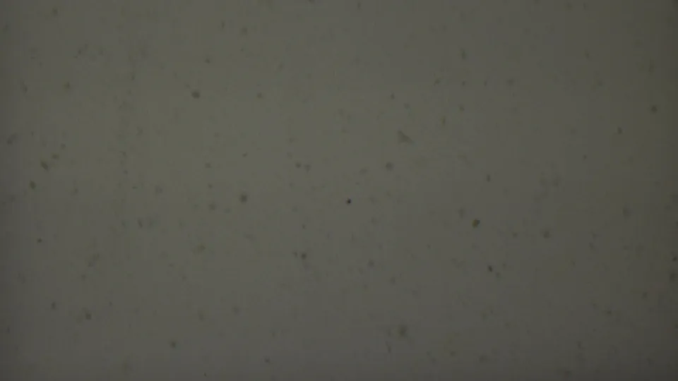1959 8mm film texture from the United States showing a muted grey field with scattered dust, soft grain, and faint surface marks.