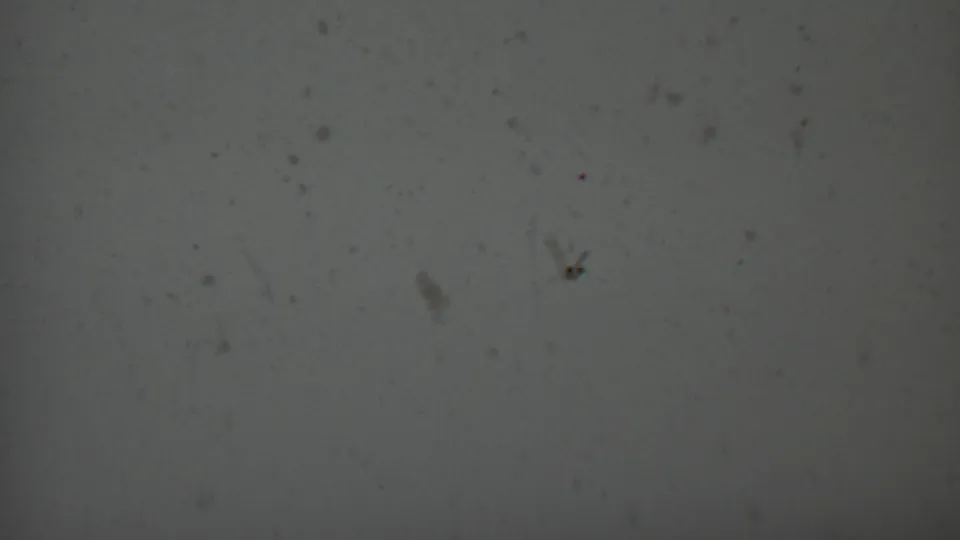 1959 8mm frame showing dark grey film grain, scattered dust particles, and faint vertical exposure banding with no identifiable subject.