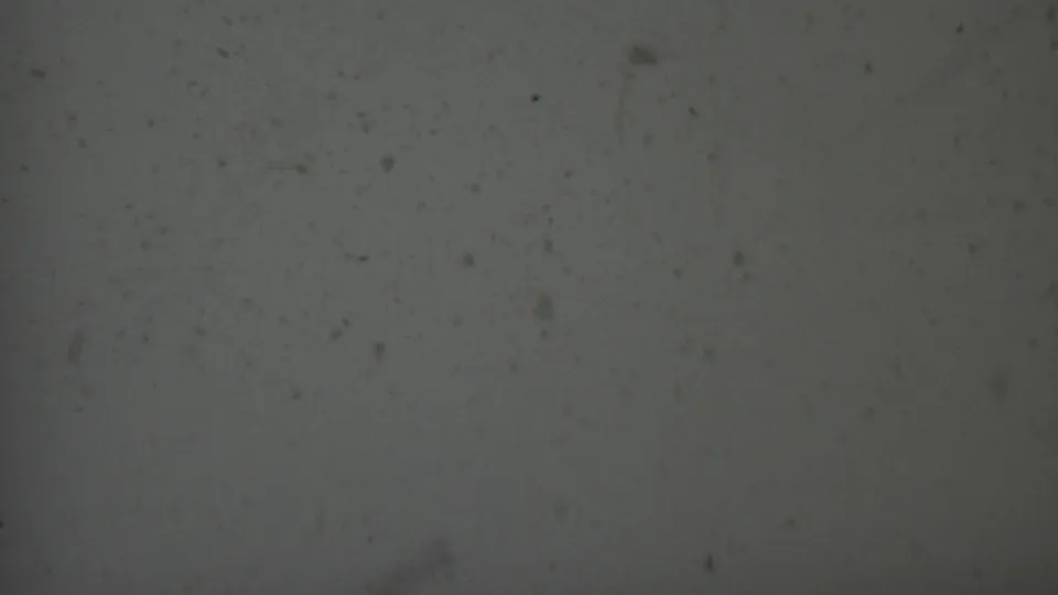1959 8mm film texture with a pale grey lower frame area, visible dust specks, subtle scratches, and a dark contact-sheet boundary near the top.