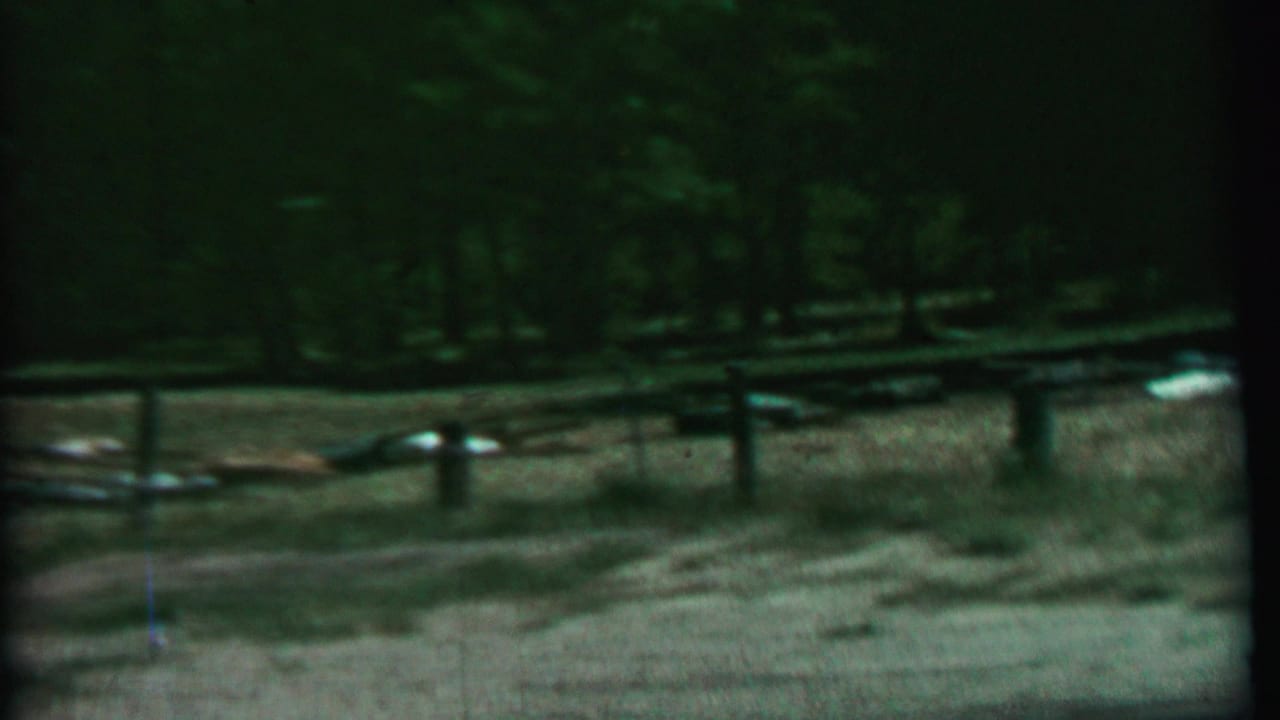 Rustic fence line and wooded background with light objects lying near the ground.