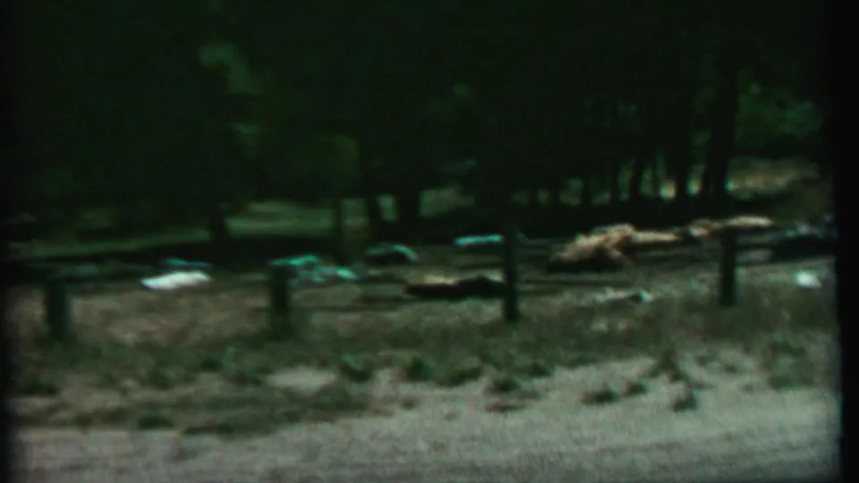 Final 1967 home-movie frame showing the wooden fence continuing across a dark green wooded clearing, with scattered objects on the dry ground and no visible people or signage.