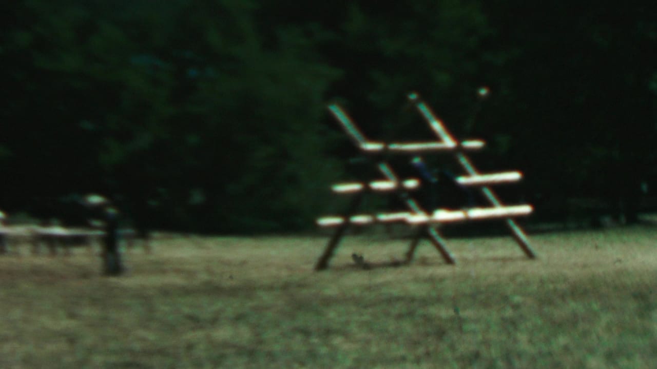 Rustic wooden picnic structure beside a grassy clearing and tree line.