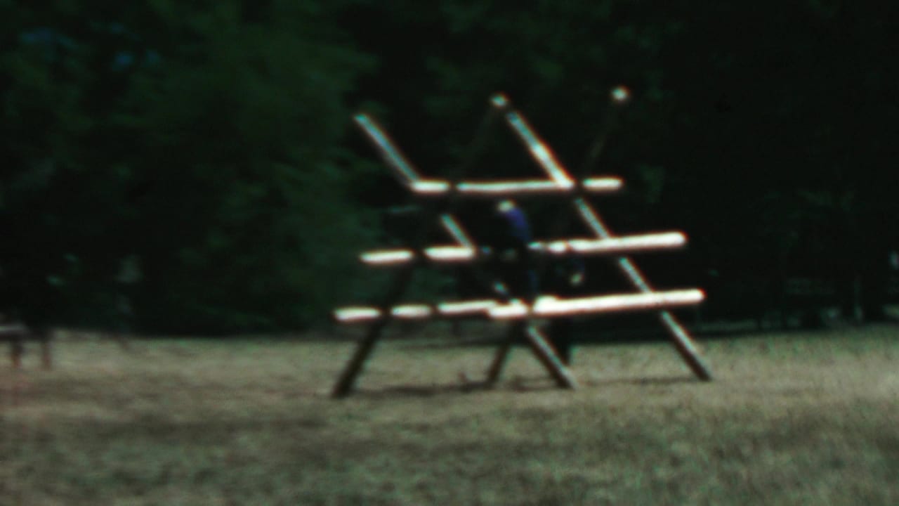Person near a wooden climbing structure in a grassy park area.