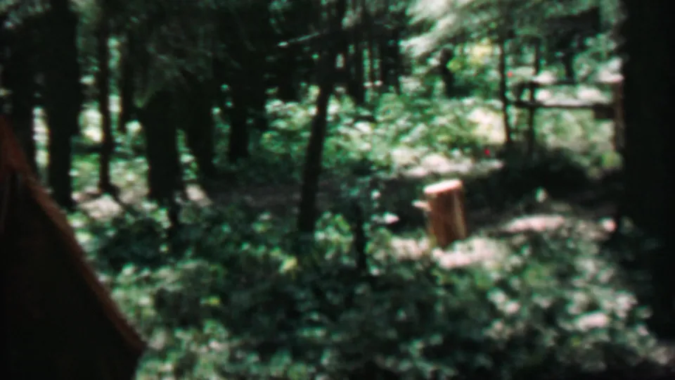 1967 8mm home-movie frame from Farragut State Park showing dense forest, dark tree trunks, green undergrowth, and a cut stump in dappled light.