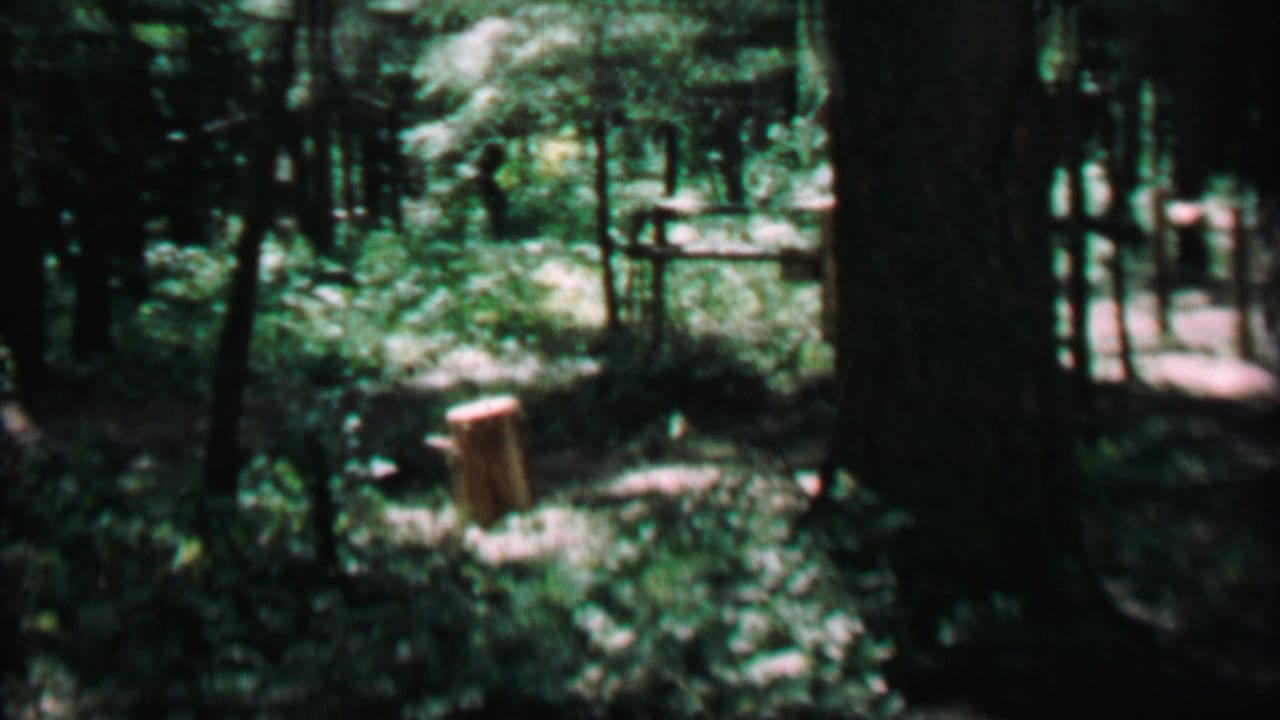 1967 Farragut State Park home-movie frame showing a shaded forest view with a cut stump, leafy undergrowth, and sunlit openings between tree trunks.