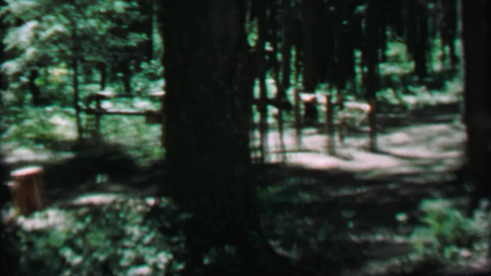 1967 8mm frame from Farragut State Park showing a wooded picnic area with a large foreground tree, a cut stump, filtered sunlight, and a picnic table beyond.
