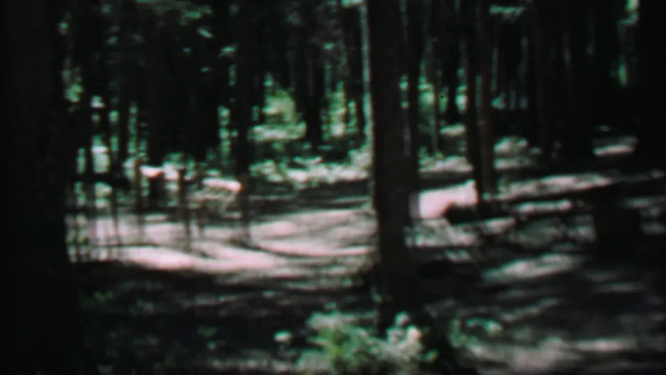 1967 Farragut State Park home-movie frame showing a darker section of forest with a picnic table partly visible among trees and sunlit ground beyond.