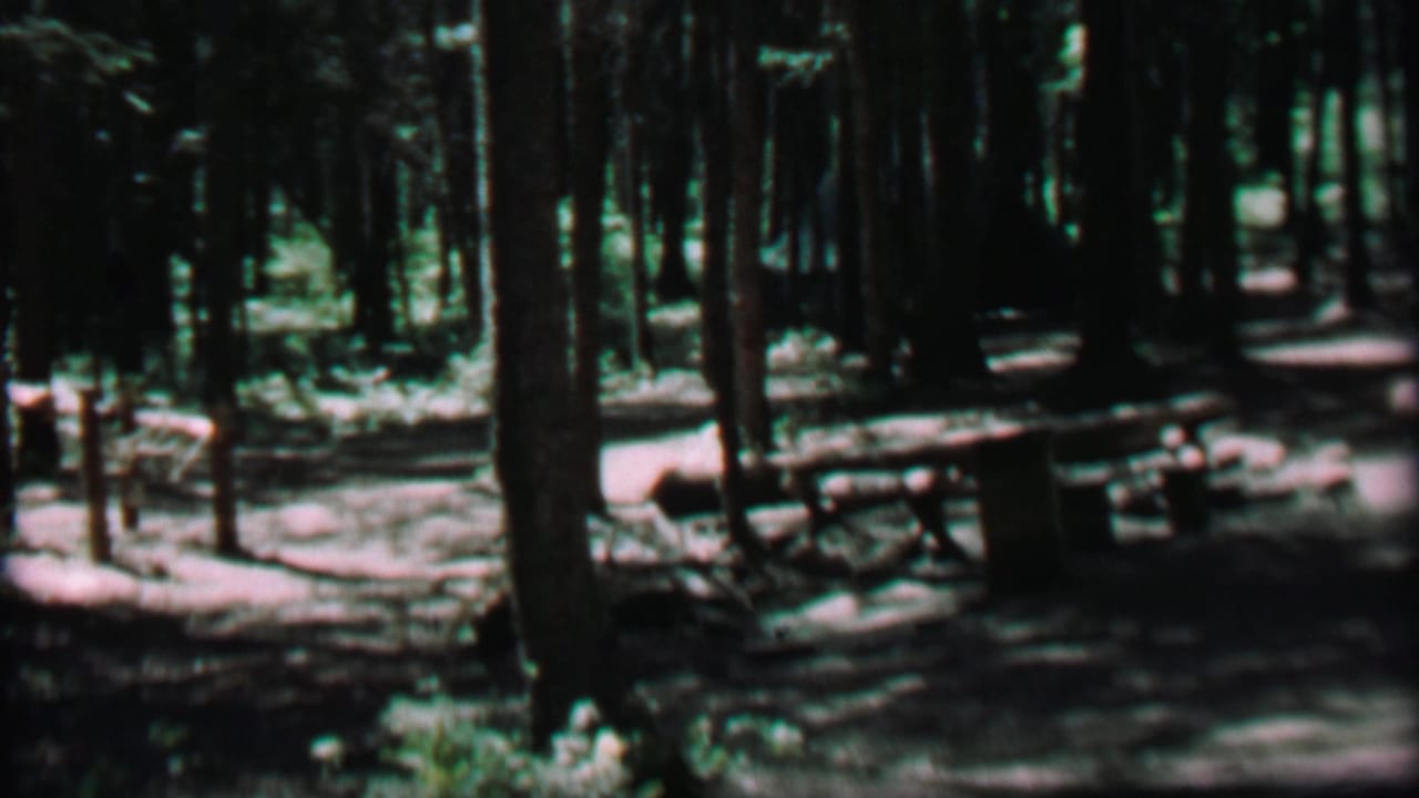 1967 Farragut State Park home-movie frame showing a shaded pine campsite with wooden picnic tables, scattered logs, and bright patches of sunlight on the ground.
