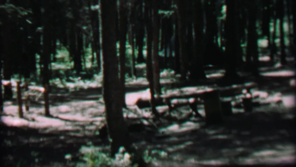 1967 Farragut State Park home-movie frame showing a shaded pine campsite with wooden picnic tables, scattered logs, and bright patches of sunlight on the ground.