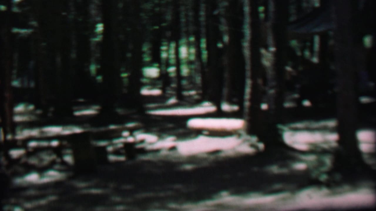 Wooded campsite clearing with picnic tables and a tent partly visible through trees.
