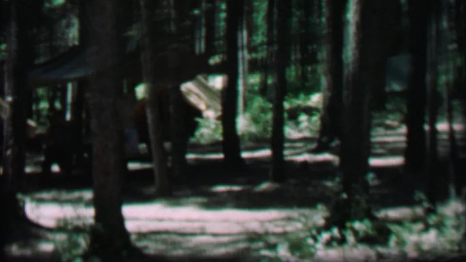 1967 Idaho home-movie frame of a pine campground, with tent fabric visible between tree trunks, a sunlit dirt path, logs, and surrounding brush.