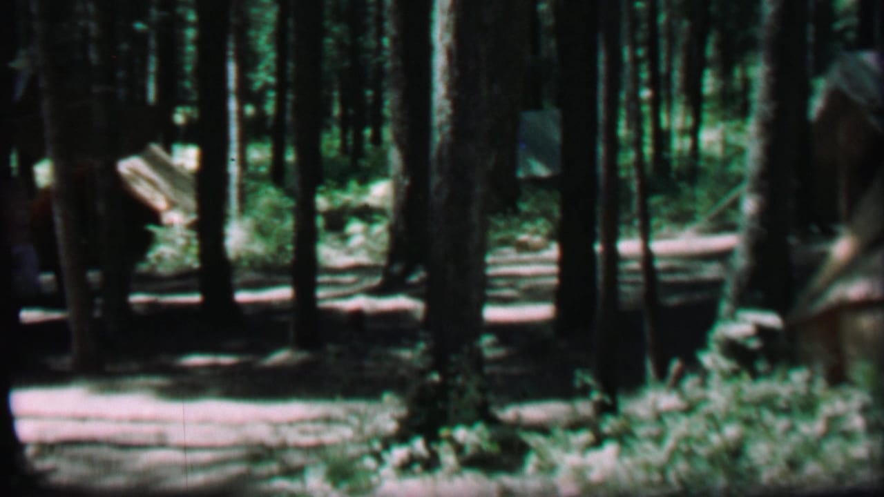 1967 8mm home-movie frame from Farragut State Park showing canvas tents arranged among dense pine trunks and undergrowth.